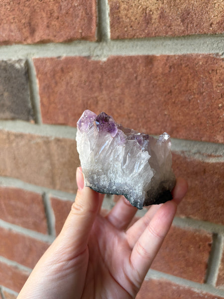 Amethyst cluster